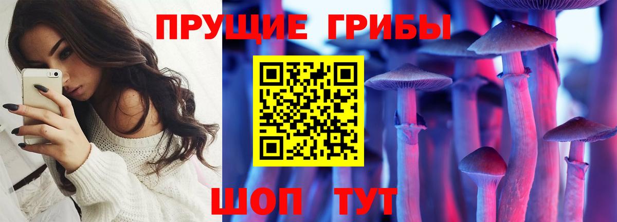 Галлюциногенные грибы Psilocybine cubensis  Вход с VPN  Ахтубинск 